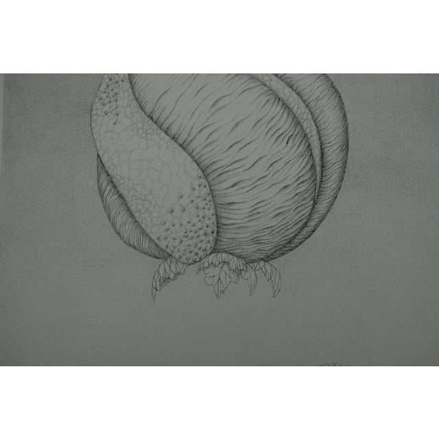 Gochka Charewicz, Avant la naissance, Lithograph For Sale - Image 4 of 8