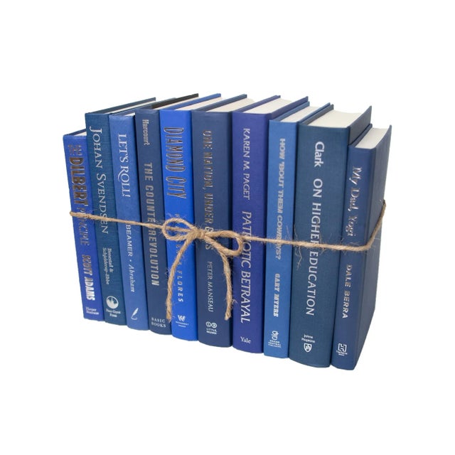 Booth & Williams Decorative Books - Denim & Silver Book Bundle - 1 Foot of Blue Books For Sale - Image 4 of 4