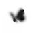 Oris - Abstract Black and White Butterfly Photography, Limited Edition of 20 2025 For Sale