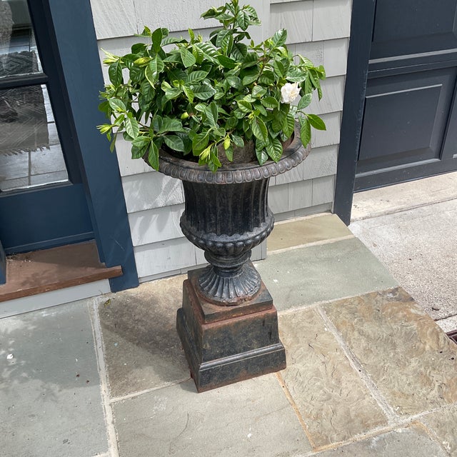 Elegant entry accent. This pair of cast iron urns on pedestals was purchased from an antique dealer 20+ years ago. They...