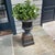 Elegant entry accent. This pair of cast iron urns on pedestals was purchased from an antique dealer 20+ years ago. They...