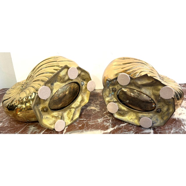 Large Pair Polished Brass Nautilus Shell Vase by Sarreid, Spain, Circa 1970s For Sale - Image 10 of 10
