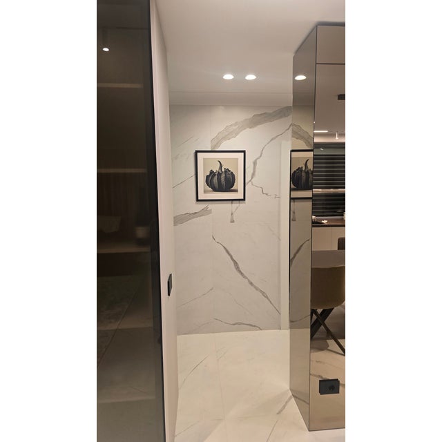 20' X 20' 'Cucurbita' #1 - Black and White Limited Edition Botanical Photography Print, Unframed For Sale - Image 6 of 6