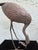 Pair of Vintage Bronze Patina Crane Sculptures in Complementary Poses For Sale - Image 12 of 12