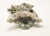 Mid 20th Century Chinese Soapstone Hand-Carved with Phoenix For Sale - Image 4 of 13