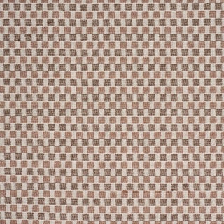 Schumacher Elara Performance Fabric In Brown For Sale