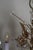 Large Gilt Brass Flower-Shape Chandelier from Palwa, Germany, 1970s For Sale - Image 15 of 18