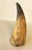 Early 19th Century Early 19th Century Gun Powder Horn With Original Carved Pin For Sale - Image 5 of 12