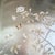 36" * H108"/Panel, Luxury Hand-Painted Chinoiserie Wallpaper on Champagne Silver Gilded Paper For Sale - Image 4 of 6