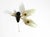 Mid-Century Modern Mid-Century Brass Wall Lamp with Painted Glass Shades, 1950s For Sale - Image 3 of 18