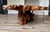Vintage Live Edge Redwood Burl Table – Sculptural Organic Form For Sale - Image 9 of 10