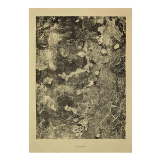 Jean Dubuffet - Disparate - Original Lithograph - 1959 For Sale