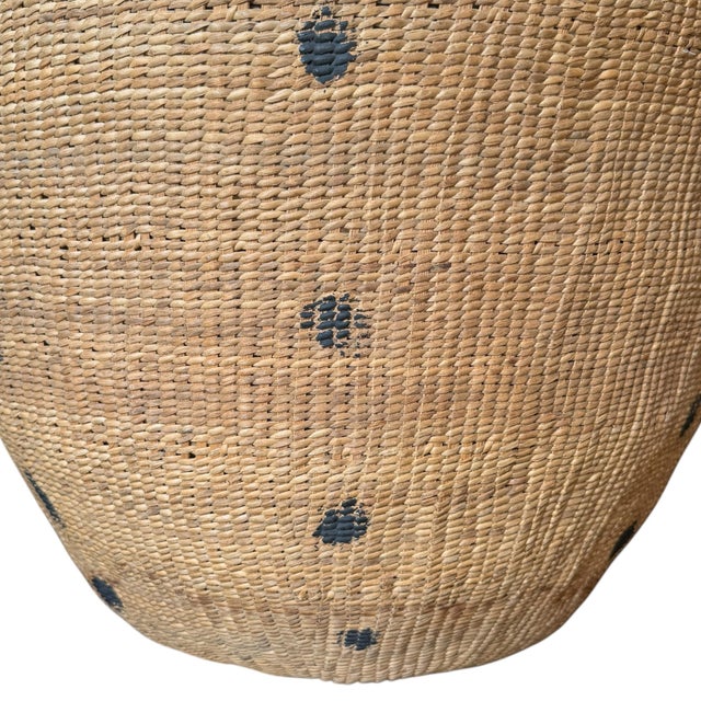 Yanomami Gathering Basket With Head Strap For Sale - Image 9 of 12