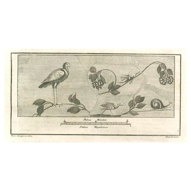 Giuseppe Aloja, Bird Fresco, 18th Century, Etching For Sale