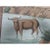 36" * H96" * 13ps, Eearly View of India Panoramic Wallpaper, 13-Panel Panoramic Set (Sold Per Panel) For Sale - Image 11 of 13