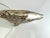 Silver 1980s Modern Coastal Glass Serving Piece With Cast Aluminum Fish For Sale - Image 8 of 15