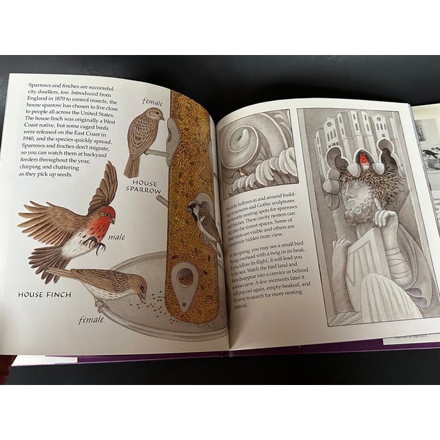 Dark Gray New York City Urban Roosts Vintage Children's Book For Sale - Image 8 of 11