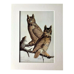 Vintage John James Audubon Matted Print, 1966: Great Horned Owl