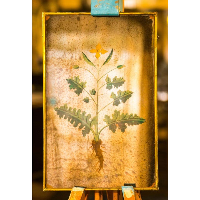 Contemporary Cross Flower Silver Mirror from Unique Mirrors For Sale - Image 3 of 3