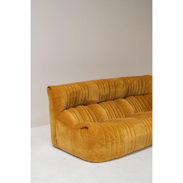 Aralia Modular Sofa by Michel Ducaroy for Ligne Roset, France, 1970s, Set of 3 For Sale - Image 6 of 18