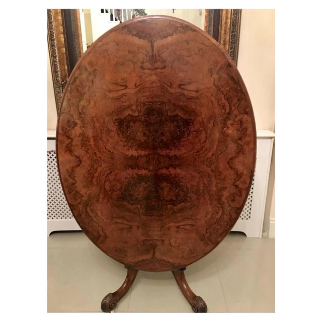 Fine Victorian burr walnut oval centre table having a superior quality oval burr walnut top, a thumb moulded edge and burr...
