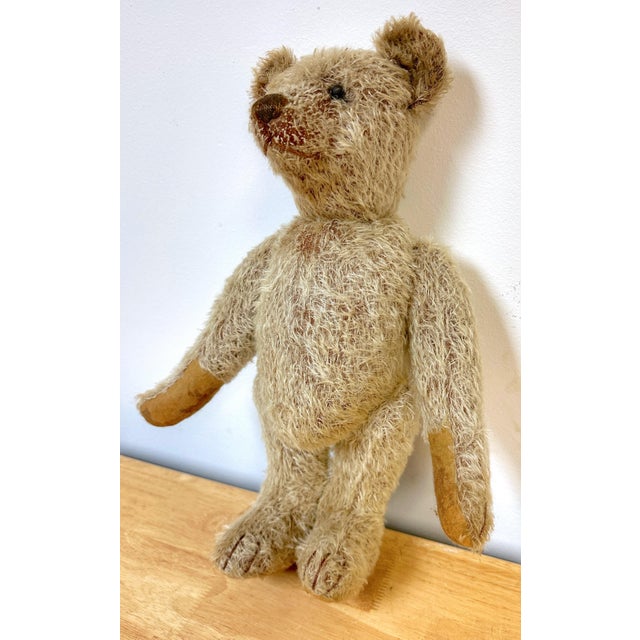 Antique Steiff Long Hair Gold Mohair Teddy Bear ' Alastair' , C. 1900s For Sale - Image 4 of 6