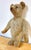 Antique Steiff Long Hair Gold Mohair Teddy Bear ' Alastair' , C. 1900s For Sale - Image 4 of 6