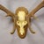 Black Forest 12 Pointer Red Deer Trophy on Wooden Plaque - Germany 1930 For Sale - Image 4 of 5