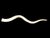 Contemporary Vintage African Kudu Horn Antler For Sale - Image 3 of 10