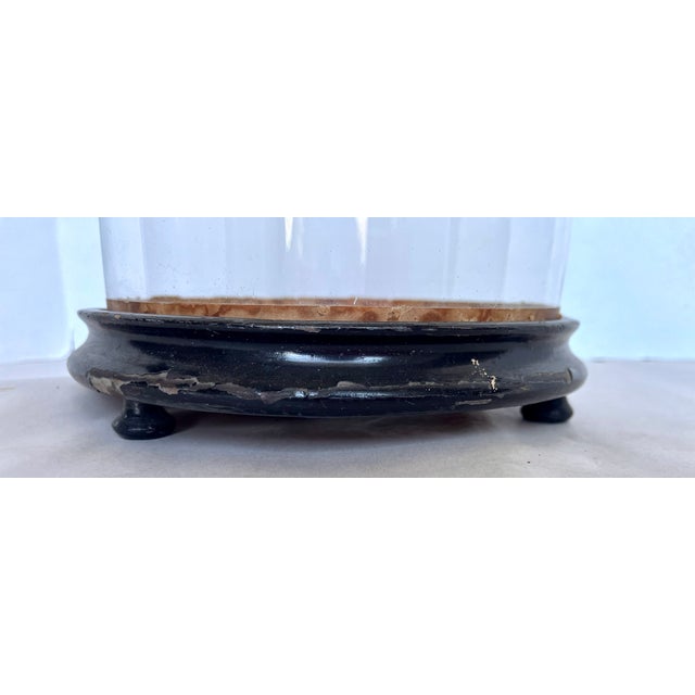 Wood Early 1900s French Hand Blown Class Cloche on Footed Base For Sale - Image 7 of 11