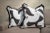2020s Pair of Custom Perennials “Tangled” Abstract Pillows For Sale - Image 5 of 5