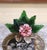 Glass 19th Century Venetian Cushion Overlay Wall Mirror With Murano Glass Flowers For Sale - Image 7 of 12