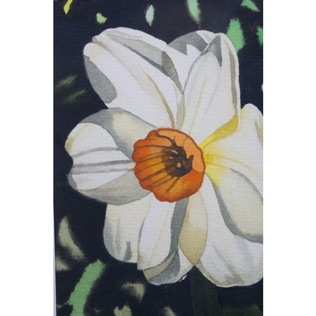 White Late 20th Century Deborah Rubin "Daffodils" Botanical Still Life Watercolor Painting Framed 50" For Sale - Image 8 of 10