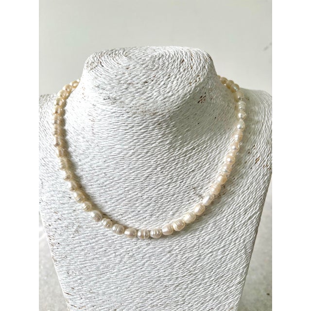 Freshwater Pearl Beaded Necklace With Vintage Sterling Silver Clasp For Sale - Image 4 of 5