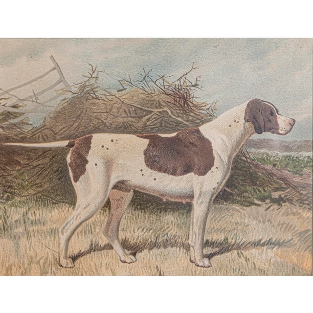 Single Print - This is for the exact brown & white Hunting Dog print in the main photo. (18 available see other photos and...
