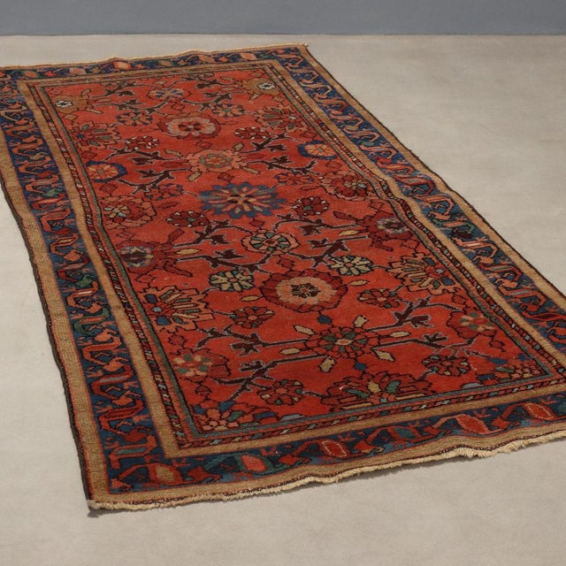 Lilian Rug in Cotton and Wool, Iran For Sale - Image 3 of 8
