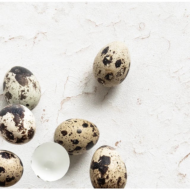 Trained as an art historian, Marlou Pulles has turned her fascination for art into still-life photography. With her...