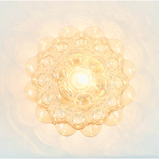 1970s Large Mid-Century Modern Amber Bubble Glass Flush Mount by Helena Tynell for Limburg, Germany For Sale - Image 6 of 8