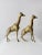 Mid Century Brass Giraffes Pair For Sale - Image 6 of 13