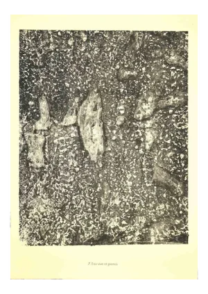 Jean Dubuffet, Living Water and Stones, Lithograph, 1950s