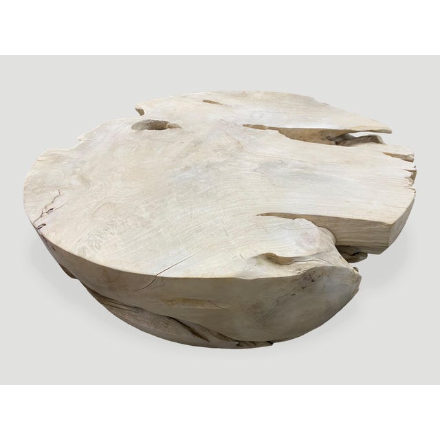 Wood Andrianna Shamaris Round Bleached Teak Wood Coffee Table For Sale - Image 7 of 18