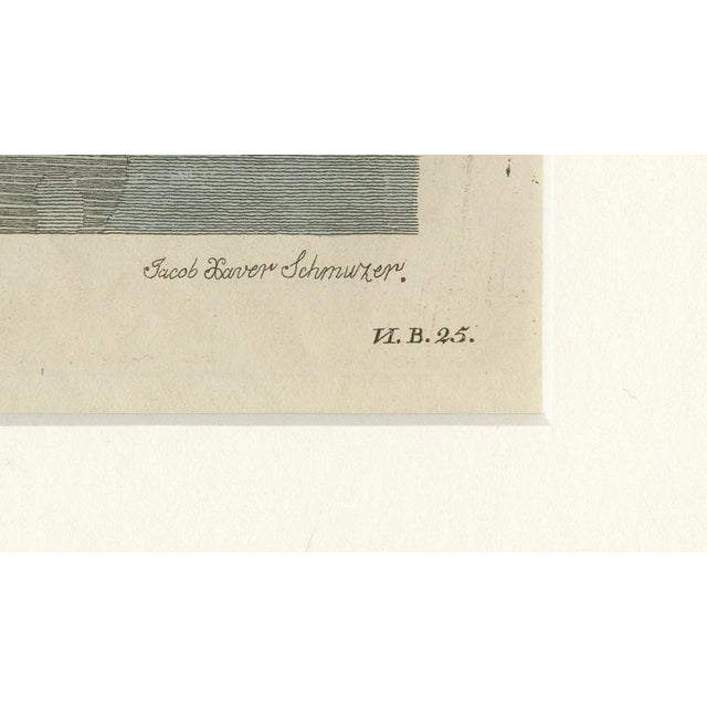 Paper Antique Greater Rhea and Black Swan Engraving from Bertuch, 1798 For Sale - Image 7 of 9