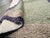 Mint Galerie Shabab Collection Mid-20th Century Turkish Konia Rug For Sale - Image 8 of 8