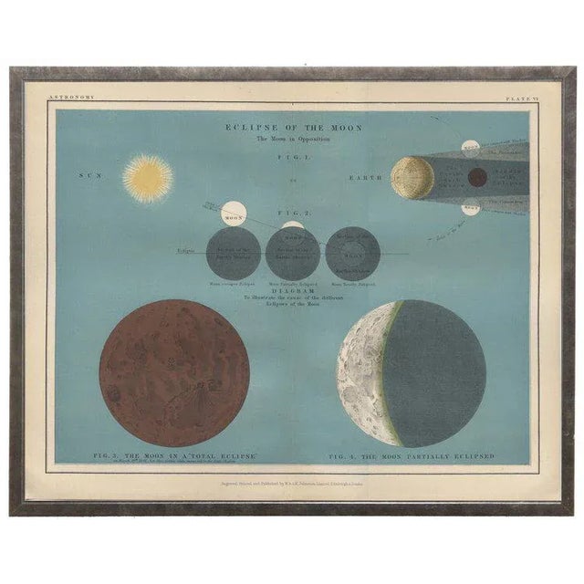 Ocean Blue Astronomy Plate VI in Shadowbox 29 1/2x 23 1/2"
