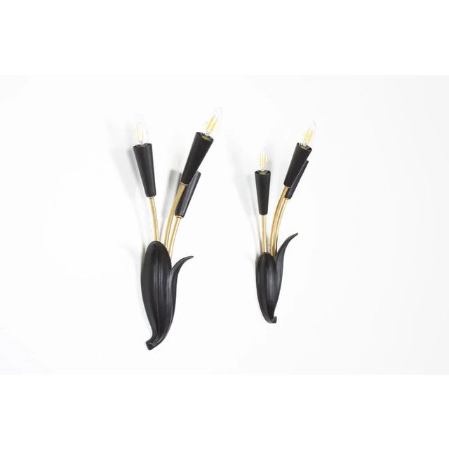 Set of 2 wall lights from the 50s in France Floral lines Black metal base, brass arms 3 light points on each B15 bulbs...