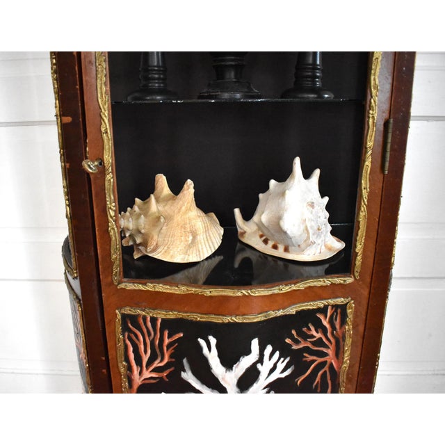 2020s Kunstkabinett of Shells by Susannah Carson For Sale - Image 5 of 13