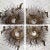 Mid 20th Century Wall Sculpture Torch Cut Brass Birds on Starburst Nail Style Silas Seandel or William Bowie For Sale - Image 11 of 13
