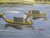 1970s Merchant in Venice Gondola Ride Signed Harris Oil on Canvas For Sale In Los Angeles - Image 6 of 18