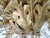 Gold Flush Mount Maison Baguès Crystal Flowers Leaves Chandelier 15 Lights No.2 For Sale - Image 8 of 11
