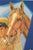 Modern Disney La Revanche De Pablito Film Poster For Sale - Image 3 of 6